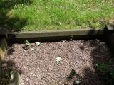 image of grave number 320675